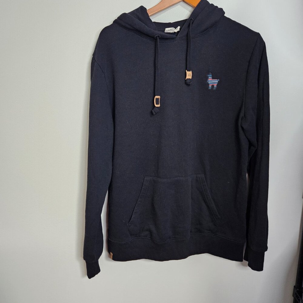 Tentree pullover hoodie